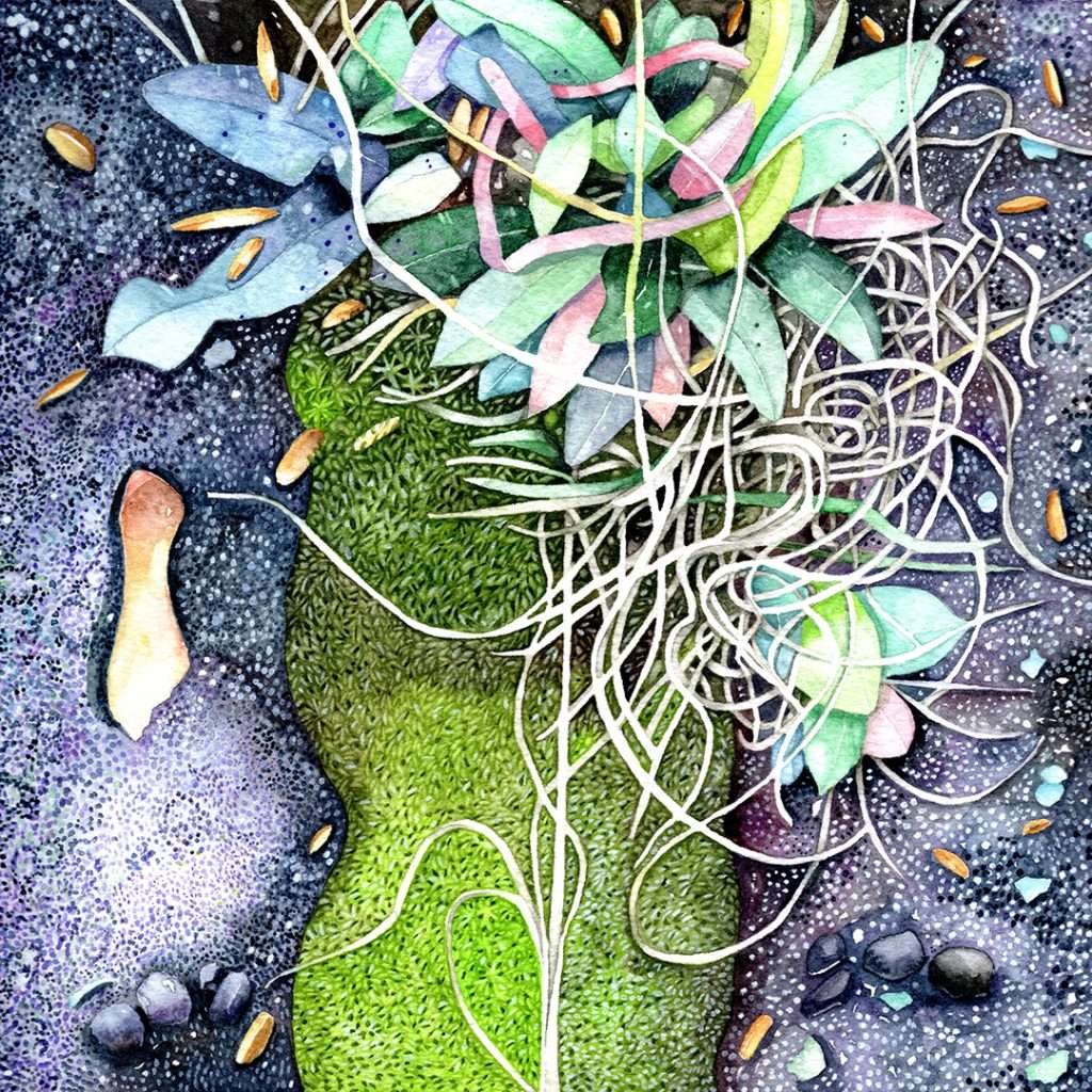 watercolor of mosses and wild vegetation growing out of rock north shore Duluth Minnesota