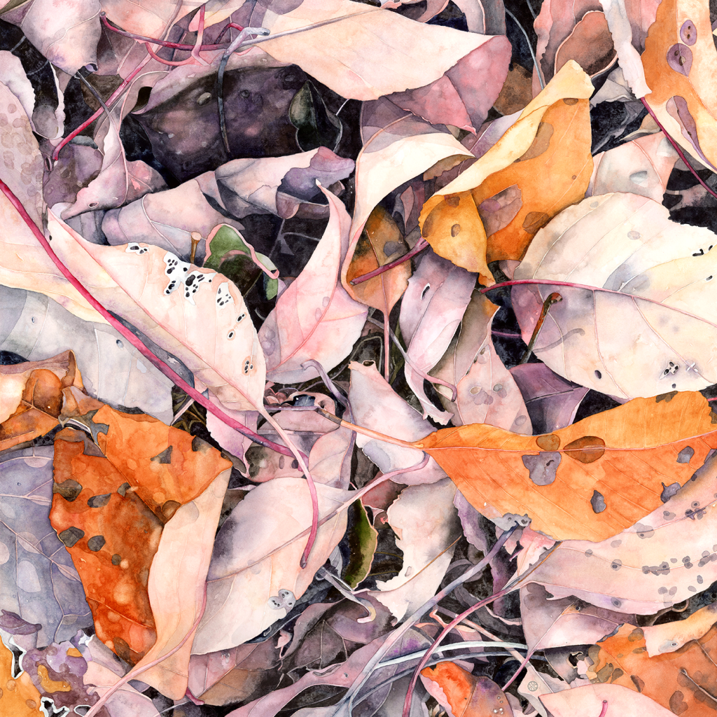 close detailed watercolor of autumn leaf litter in soft pinks, blues, violets, oranges and burnt sienna 20 x 20 inches unframed