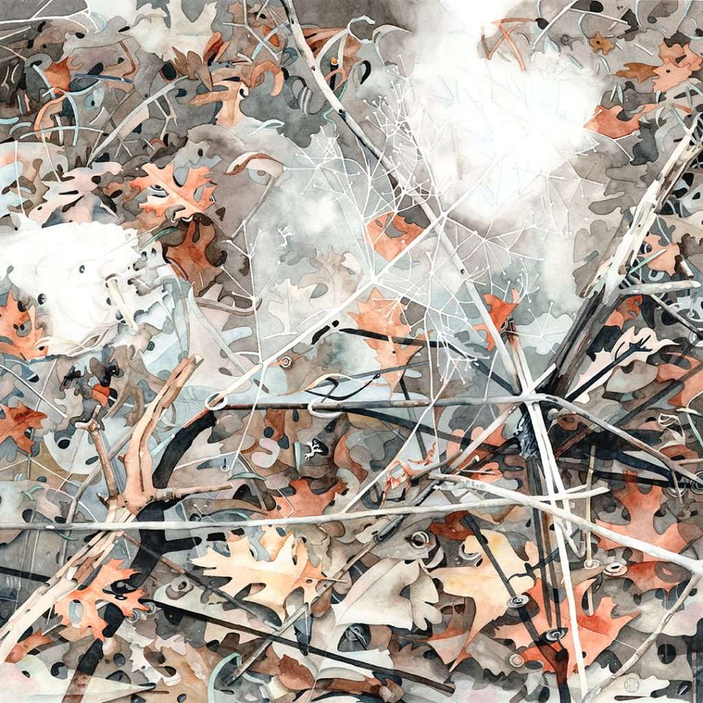 large square watercolor detail view of suburban marsh ecosystem in autumn with floating russet, pink, orange pin oak leaves, branches and clouds reflecting on the water