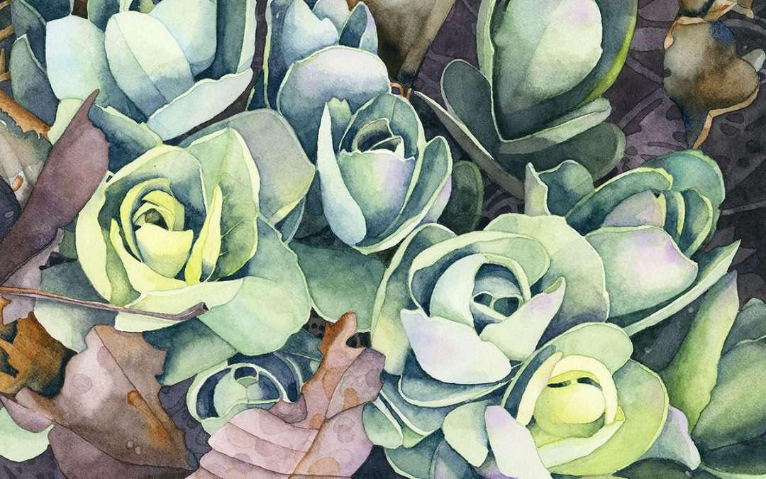 Baby Cabbages