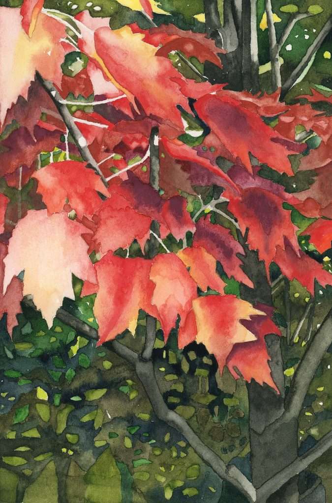 a small vertical watercolor study of red maple leaves in autumn set in a dense forest landscape