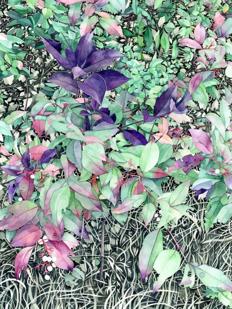 Titled Where the Catbird Sings, an 18 x 24 inch nature-inspired watercolor painting of a gray dogwood in autumn with bright cranberry and purple leaves and white berries, thick brush in the background, and lush grasses in the foreground.