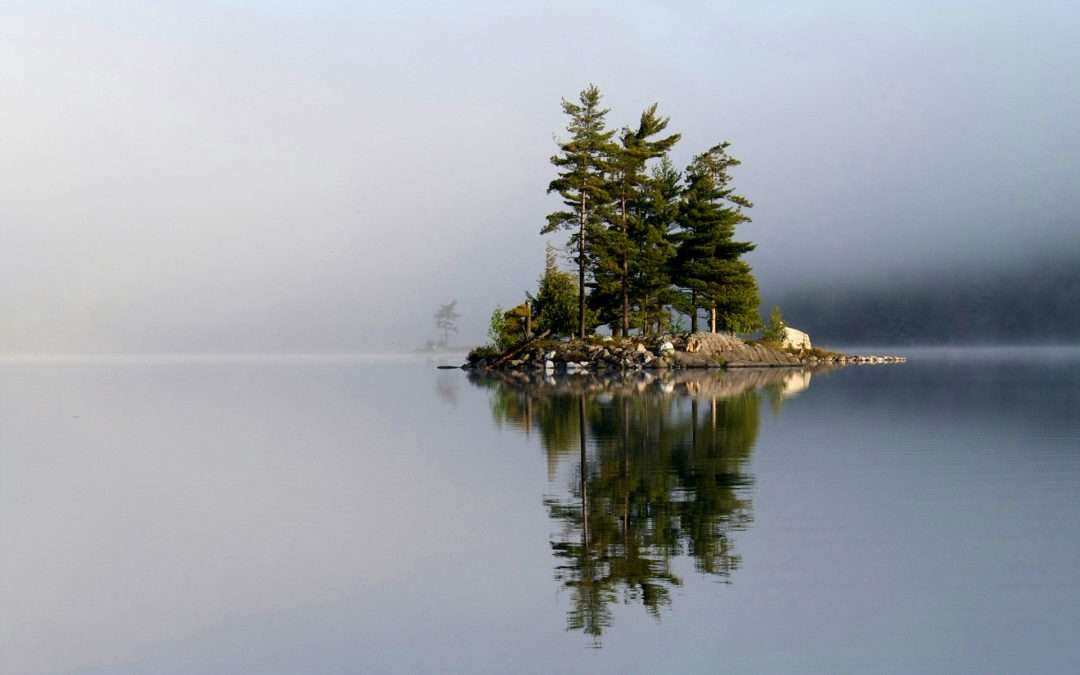 Reflections. We All Start At Zero.