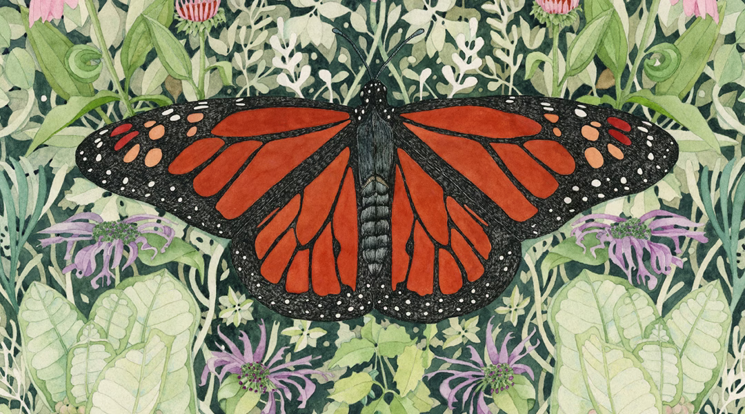 Prairie Sovereign