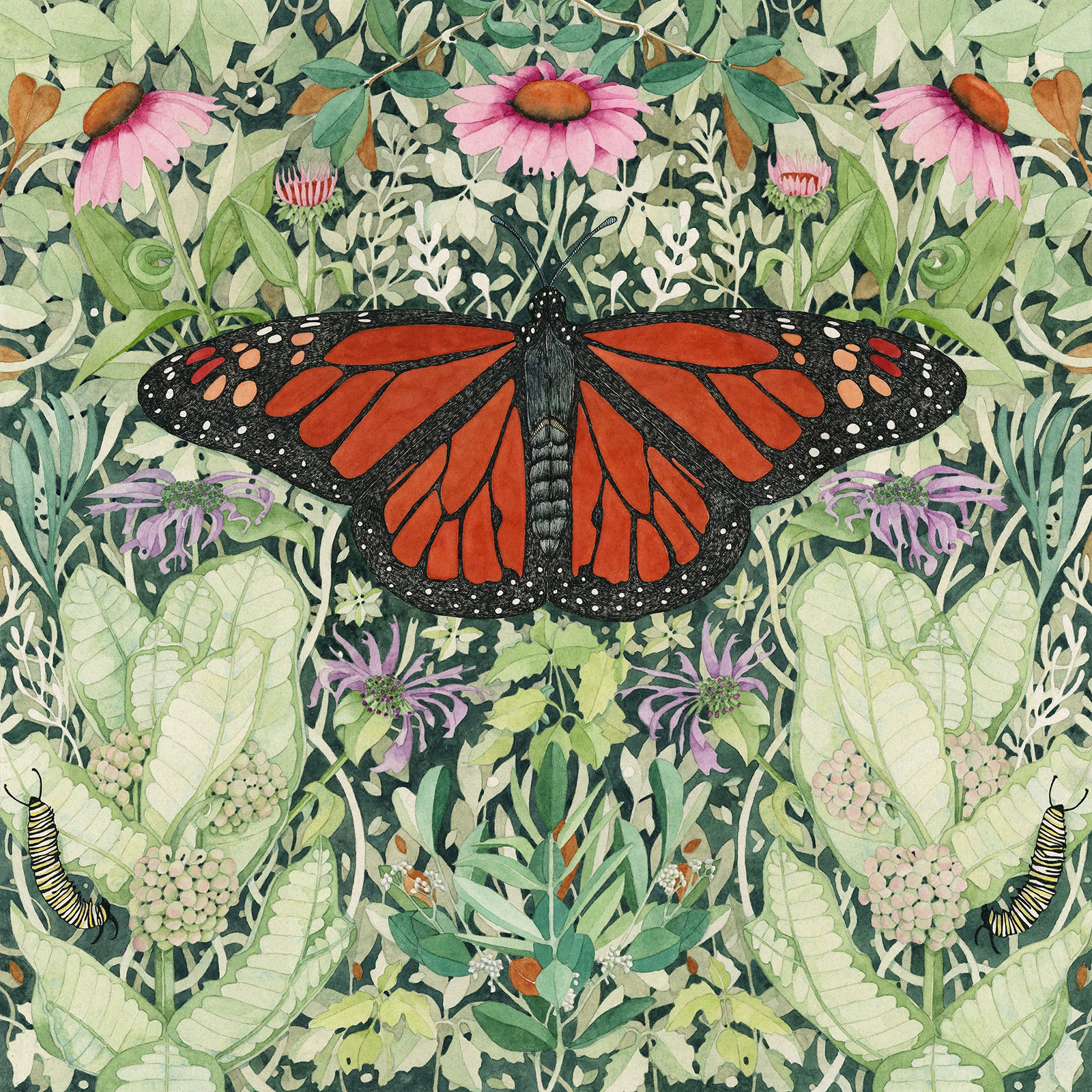 monarch butterfly botanical prairie watercolor painting created in the tradition of the Arts & Craft movement of William Morris; the monarch butterfly is surrounded in balance pattern with cone flowers, bee balm, milkweed and indian hemp; on each milkweed plant with full flower buds there is a monarch caterpillar painted by Minnesota visual artist Kristin Maija Peterson
